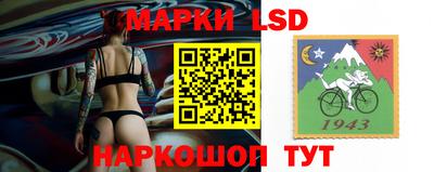 мдпв Ачхой-Мартан