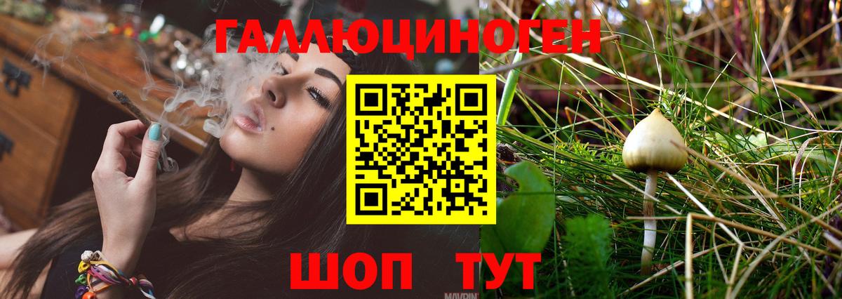 Галлюциногенные грибы MAGIC MUSHROOMS  Вход с VPN  Псилоцибиновые грибы Cubensis  наркотики  Киселёвск 